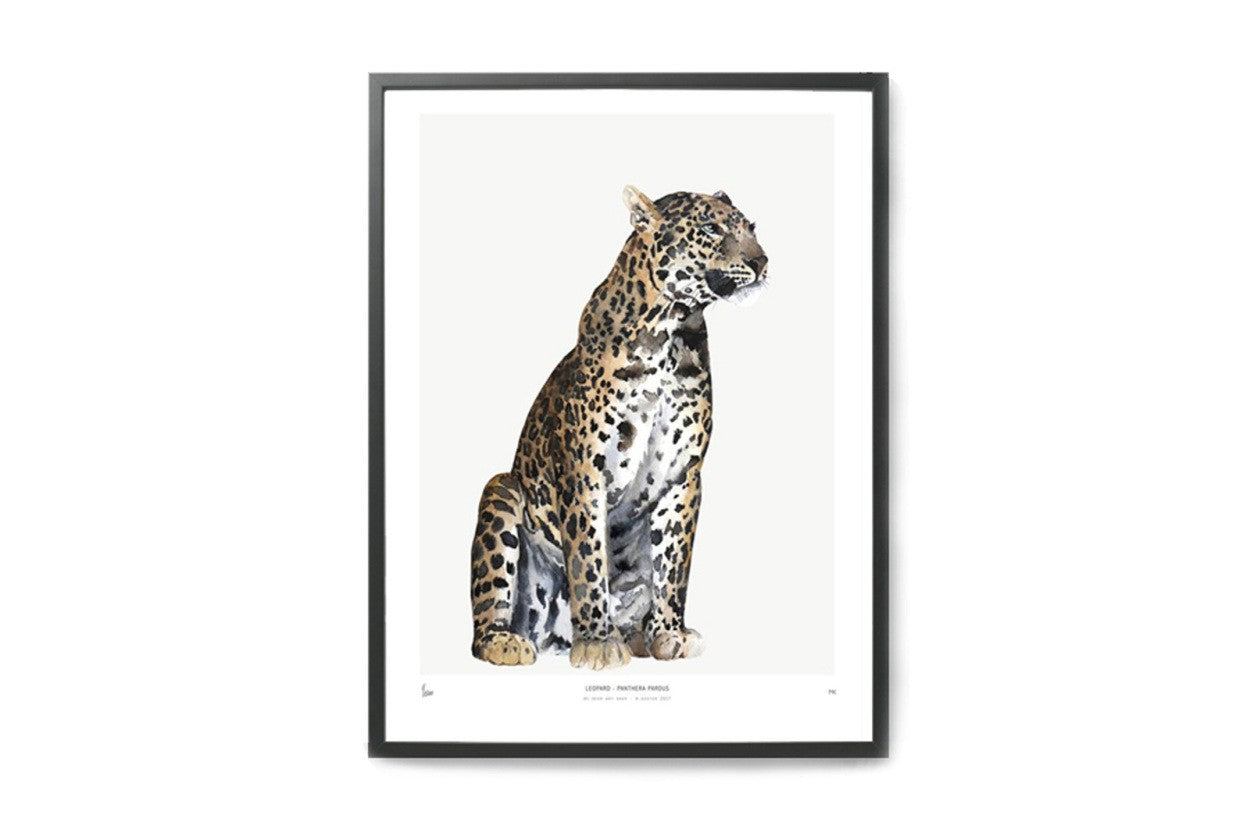 在庫限り】ポスター/アートプリント 30×40cm INTO THE WILD / Leopard 